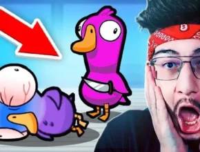 Tingus Goose Download